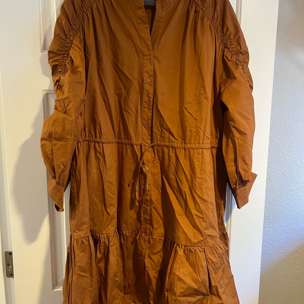 Astr Terracotta Long Sleeve Dress